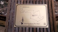 USA Jihozápad: White Mountains - Ancient Bristlecone Pine Forest - infocedule