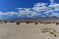 USA Jihozápad: Death Valley - Devil Cornfield