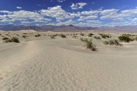 USA Jihozápad: Death Valley - Sand Dunes (Mesquite Flat Dunes)
