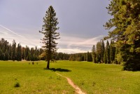 USA Jihozápad: Yosemite - cesta přes Tioga Pass
