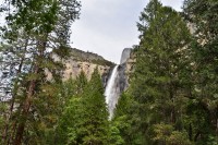 USA Jihozápad: Yosemite - Bridalveil Fall