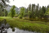 USA Jihozápad: Yosemite National Park - Yosemite Valley