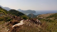 Černá Hora: skládka u silnice