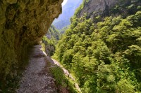 Černá Hora - Kaňon Mrtvice, stezka vystřílená ve skále