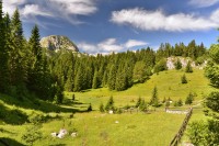 Černá Hora - Durmitor: cestou k Crnu jezeru