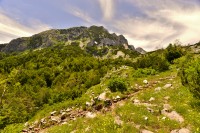 Černá Hora - Durmitor: stezka Jakšica mlin - Meded