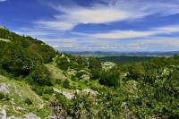 Černá Hora - Durmitor: stezka Jakšica mlin - Meded (pohled zpět k Žabljaku)