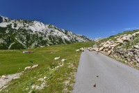 Černá Hora - Durmitor: u silnice č. 14