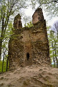 zřícenina hradu Kaltenštejn na Hradisku