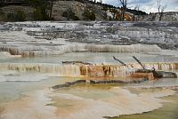 USA Severozápad: Národní park Yellowstone, Mamoth Hot Springs