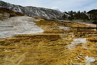 USA Severozápad: Národní park Yellowstone, Mamoth Hot Springs - dolní terasy
