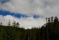 USA - Severozápad: Národní les Mount Hood - vrchol hory Mount Hood