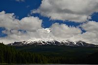 USA - Severozápad: Národní les Mount Hood od jezera Trillium Lake