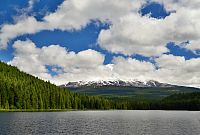 USA - Severozápad: Národní les Mount Hood - jezero Trillium Lake