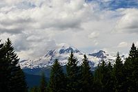 USA - Severozápad: Národní park Mount Rainier - Mount Rainier z parkové silnice