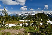 USA - Severozápad: Národní park Mount Rainier - výhled ze stezky Paradise směrem na jih