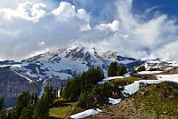 USA - Severozápad: Národní park Mount Rainier - výhled ze stezky Paradise na Mount Rainier