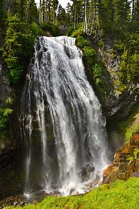 USA - Severozápad: Národní park Mount Rainier - vodopád Narada Falls