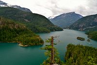 USA - Severozápad: Národní park North Cascades, Diablo Lake Overlook