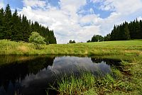 Národní přírodní rezervace Rejvíz - přítok Černé Opavy z rašeliniště u Starého Rejvízu