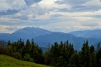 Gutensteinské Alpy: Reisalpe - výhled z vrcholu ke Schneebergu