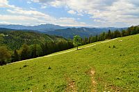 Türnitzké Alpy: pastvina pod T. Högrem