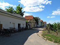 Jižní Morava: vinné sklípky Dolní Dunajovice