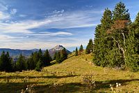 Rakousko - Türnitzské Alpy: Hochstadelberg