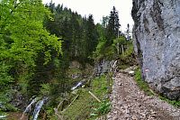 Rakousko - Ybbstallské Alpy: stezka na Dürrenstein těsně pod Herrenalm