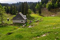 Rakousko - Ybbstallské Alpy: salaš Herrenalm