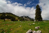 Rakousko - Ybbstallské Alpy: stezka na Dürrenstein nad Leonhardikreuz