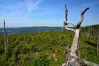 Šumava: hřebenovka Ostrý - Svaroh