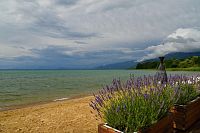 Severní Makedonie: Ochridské jezero u kláštera sv. Nauma
