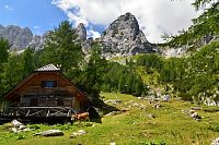 Slovinsko - Julské Alpy: stezka Krma - Kredarica, Planina Zgornja Krma - salaš Prgarca