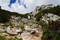Slovinsko - Julské Alpy: stezka Krma - Kredarica, zkratka kolem Argovy glavy