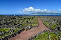 Azorské ostrovy: vinice UNESCO na ostrově Pico