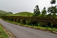 Azorské ostrovy: Akvadukt Muro das Nove Janelas na ostrově São Miguel