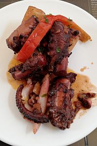 Azorské ostrovy: chobotnice v restauraci Taberna Açor v Pontě Delgadě na ostrově São Miguel