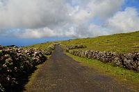 Azorské ostrovy - ostrov Pico: silnice k sopce Pico