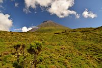 Azorské ostrovy - ostrov Pico: pod sopkou Pico