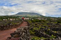 Azorské ostrovy - ostrov Pico: Vinařská kulturní krajina UNESCO u Crição Velha