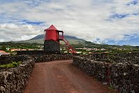 Azorské ostrovy - ostrov Pico: Vinařská kulturní krajina UNESCO u Crição Velha