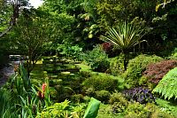 Azorské ostrovy - ostrov São Miguel: Furnas - botanická zahrada Terra Nostra