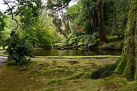 Azorské ostrovy - ostrov São Miguel: Furnas - botanická zahrada Terra Nostra