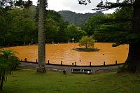 Azorské ostrovy - ostrov São Miguel: Furnas - botanická zahrada Terra Nostra, termální bazén