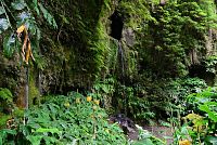 Azorské ostrovy - ostrov São Miguel: pěší túra k Janela do Inferno - vodopád v místě, kde se trasa stáčí zpět