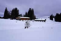 Hemmersuppenalm - salaše