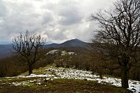 Slovensko - Malé Karpaty: výhled z Klokoče