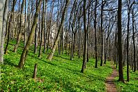 Slovensko: Malé Karpaty