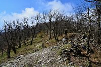 Slovensko - Malé Karpaty: hřeben u Zárub